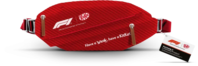 Bolsa de Cintura png.png